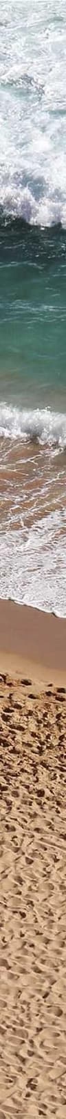 Instructor image