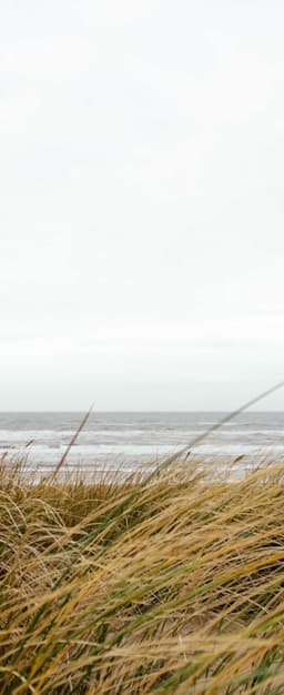 Aufderhar - Schmeler logo