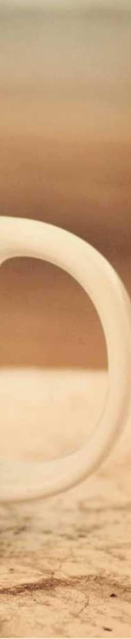 Stiedemann - Kirlin logo